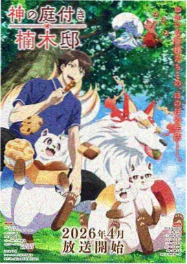 婚姻观察综艺第三人称画面